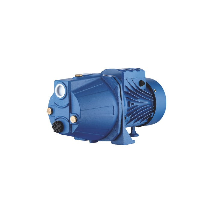 DAFU Jet Pump JET60S 0.37KW 220V/50HZ 1" * 1"