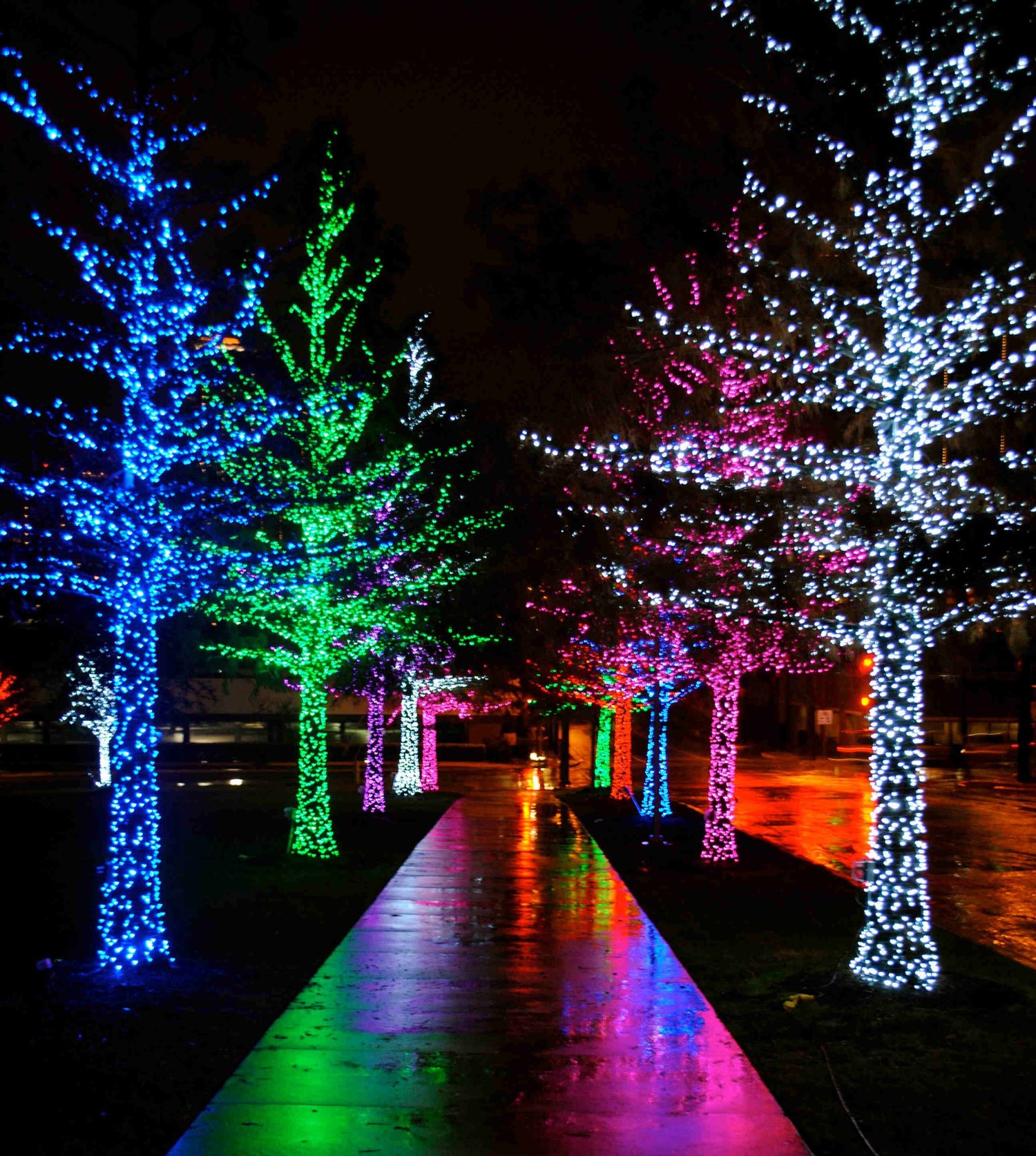 Christmas Collection - Azar Group