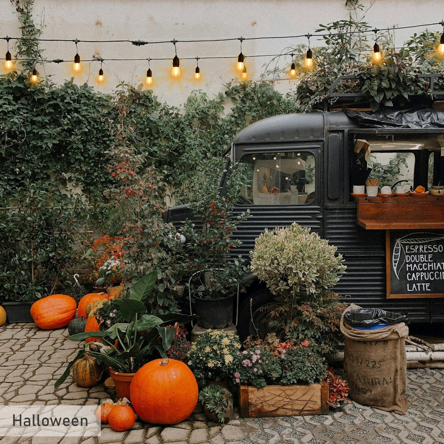 Aura Outdoor Festoon String Lights - 5 Meters, 10 LED Bulbs (3000K Warm White) Aura Lighting