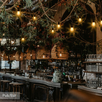 Aura Outdoor Festoon String Lights - 5 Meters, 10 LED Bulbs (3000K Warm White) Aura Lighting