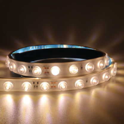 Aura Waterproof LED Strip 2835 24V 42L 20MM 6500K 25W (5M/Roll, 2CM Cut, Dimmable, High Lumen)