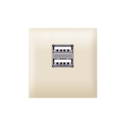 Aling-Conel Experience Dual USB Type-A Power Supply (2M) - Art. 74283 Aling Conel