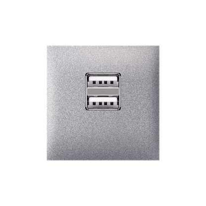 Aling-Conel Experience Dual USB Type-A Power Supply (2M) - Art. 74283 Aling Conel