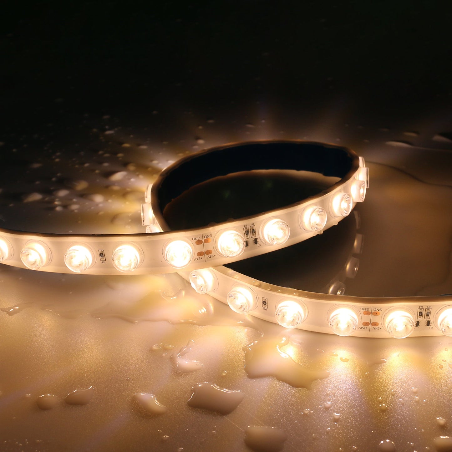 Aura Waterproof LED Strip 2835 24V 42L 20MM 6500K 25W (5M/Roll, 2CM Cut, Dimmable, High Lumen) - Aura Lighting - Azar Group
