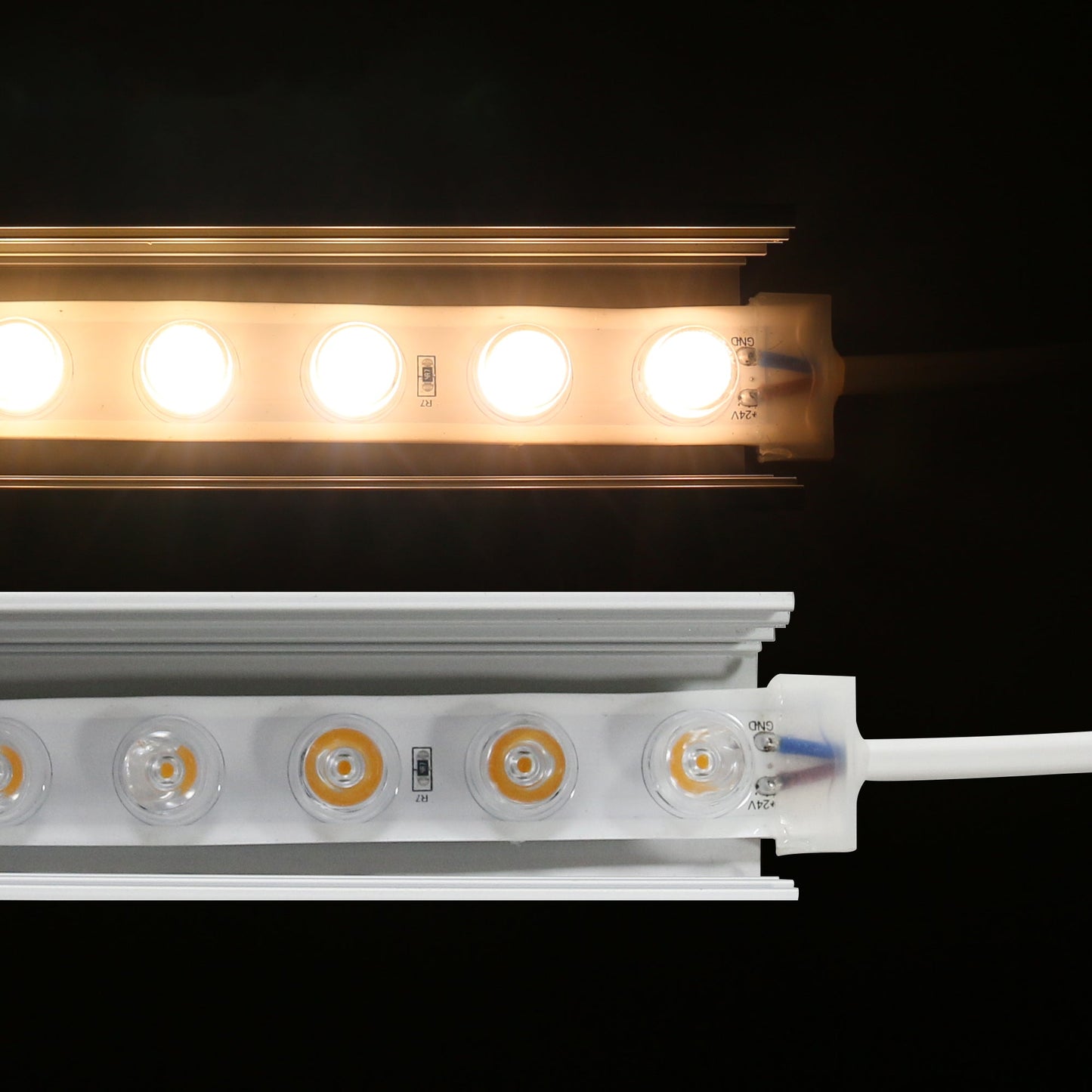 Aura Waterproof LED Strip 2835 24V 42L 20MM 6500K 25W (5M/Roll, 2CM Cut, Dimmable, High Lumen) - Aura Lighting - Azar Group