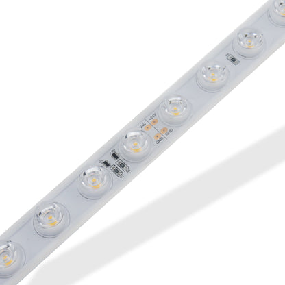 Aura Waterproof LED Strip 2835 24V 42L 20MM 6500K 25W (5M/Roll, 2CM Cut, Dimmable, High Lumen) - Aura Lighting - Azar Group