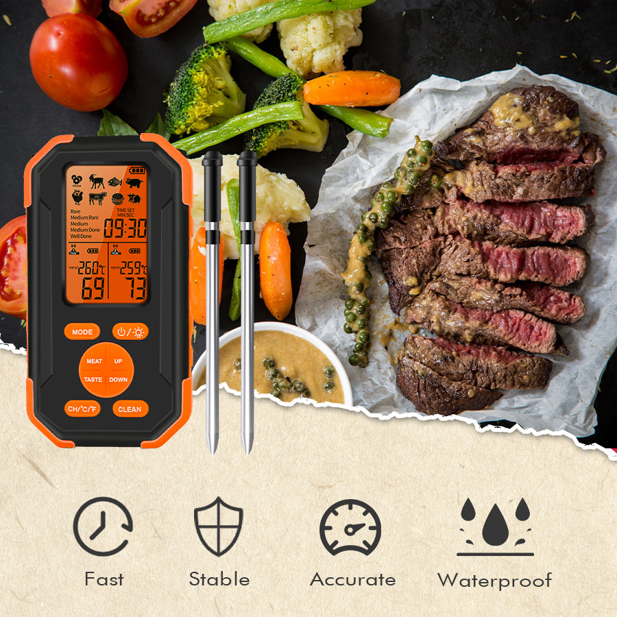 LDT-2109B BBQ thermometer