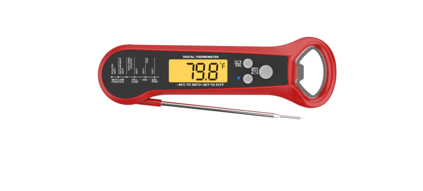 LDT-D3 Digital thermometer