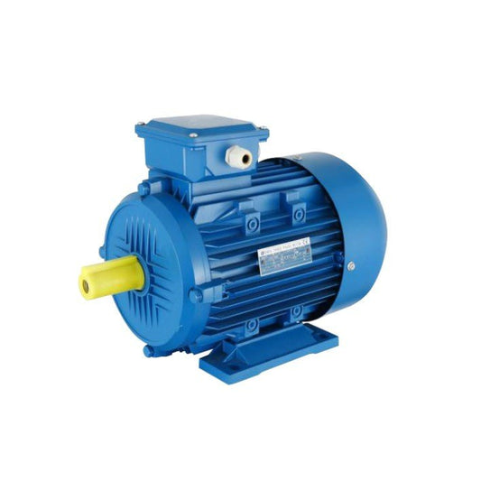 DAFU Motor AC Three Phase Motor 0.37KW 380V 0.5HP 1490 RPM - Pumps and Motors - DAFU - Azar Group