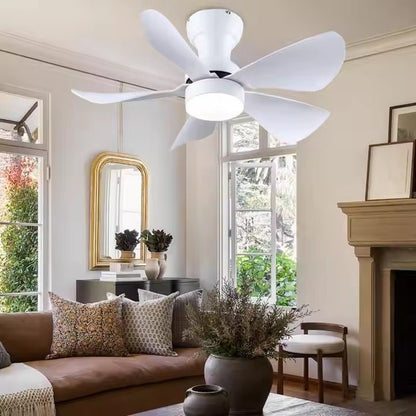 GS2252 29 - Inch Modern Ceiling Fan with LED Light - Ceiling Fan with Light - Aura Lighting - Azar Group