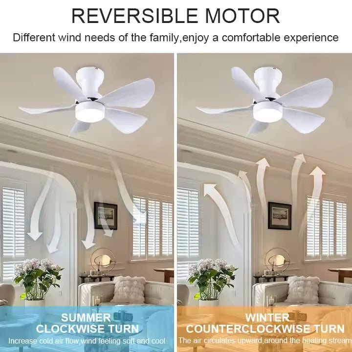 GS2252 29 - Inch Modern Ceiling Fan with LED Light - Ceiling Fan with Light - Aura Lighting - Azar Group