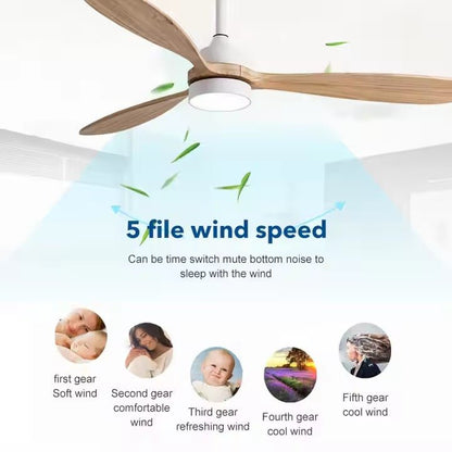 GS4345 - ABS 52 - Inch Modern Ceiling Fan with White Body and Light Wood Blades - Ceiling Fan with Light - Aura Lighting - Azar Group