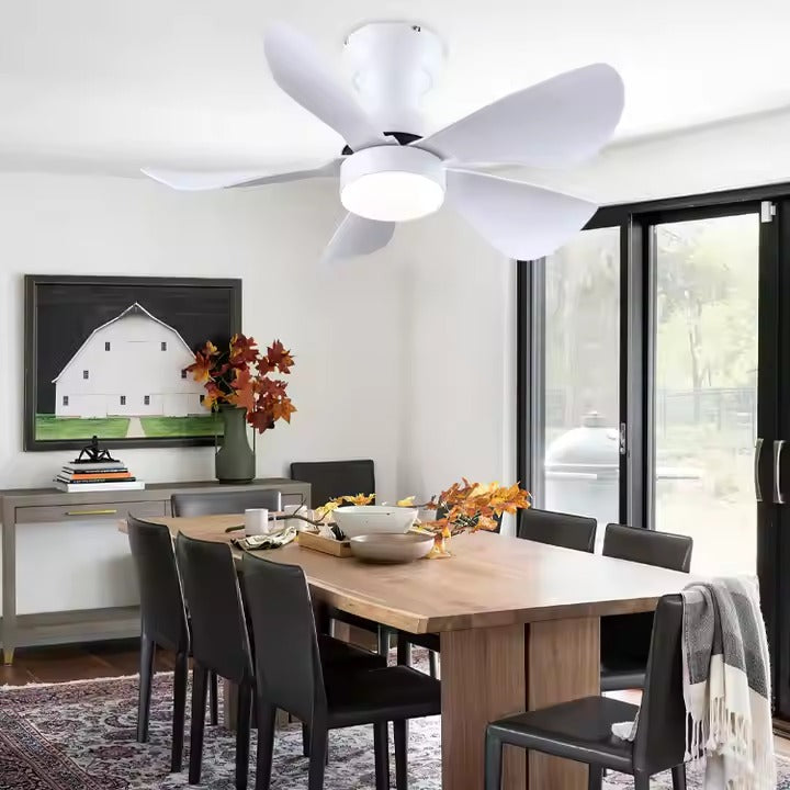 GS2252 29-Inch Modern Ceiling Fan with LED Light