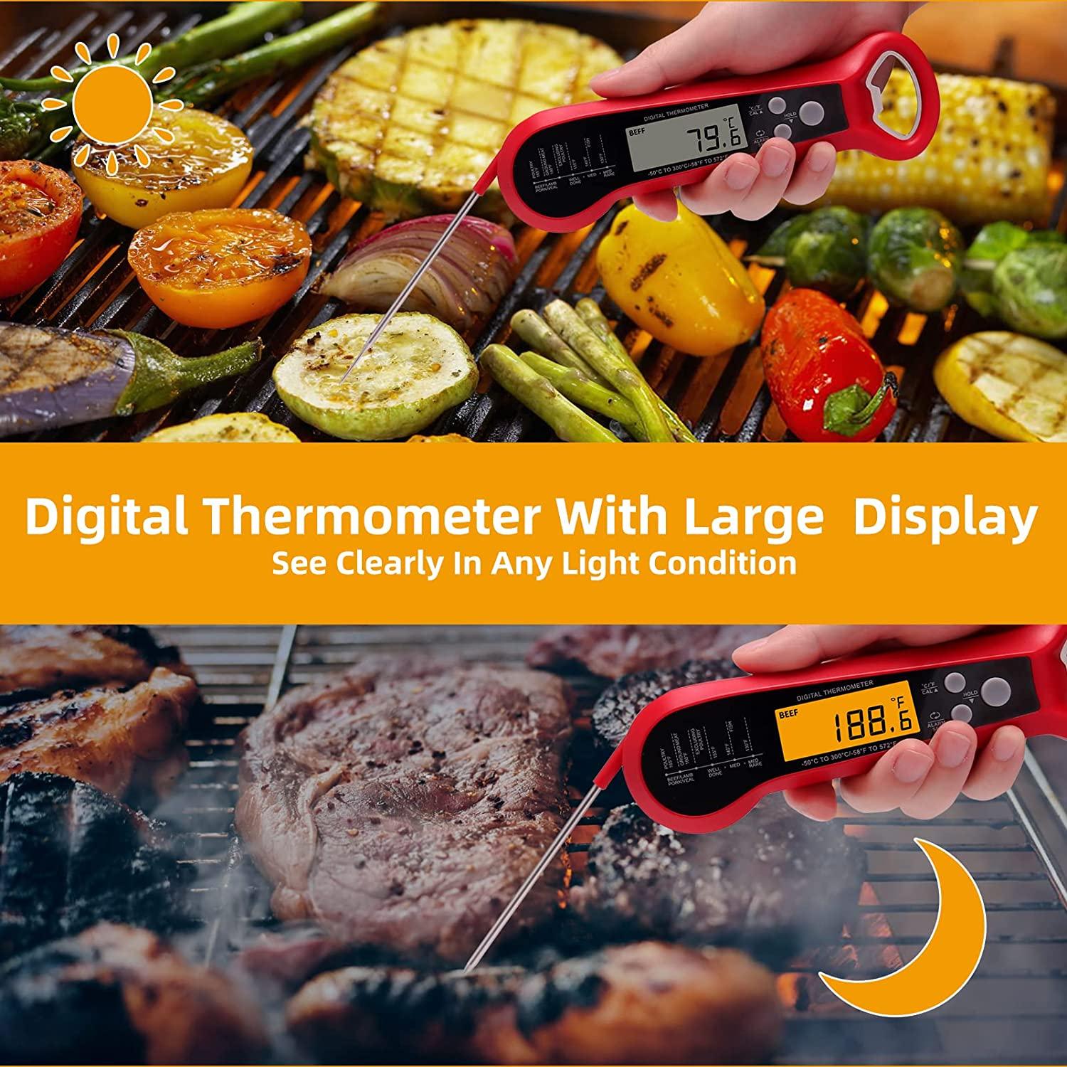 LDT - D3 Digital thermometer - Thermometers - V.E.M. - Azar Group
